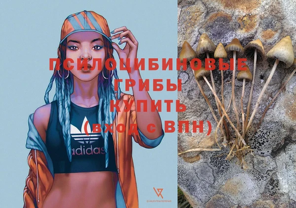 стаф Белоозёрский