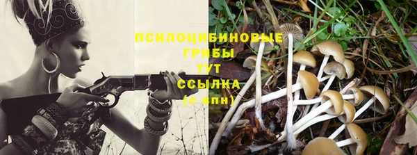 таблы Белокуриха