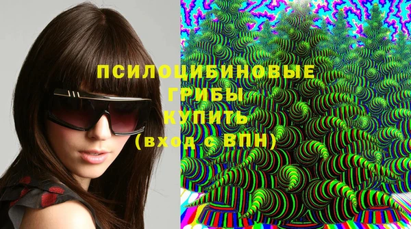 таблы Белокуриха