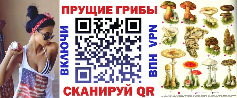 гидра ССЫЛКА  Михайлов  Галлюциногенные грибы ЛСД 